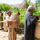 workers-vineyard