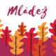 Mladez_pic