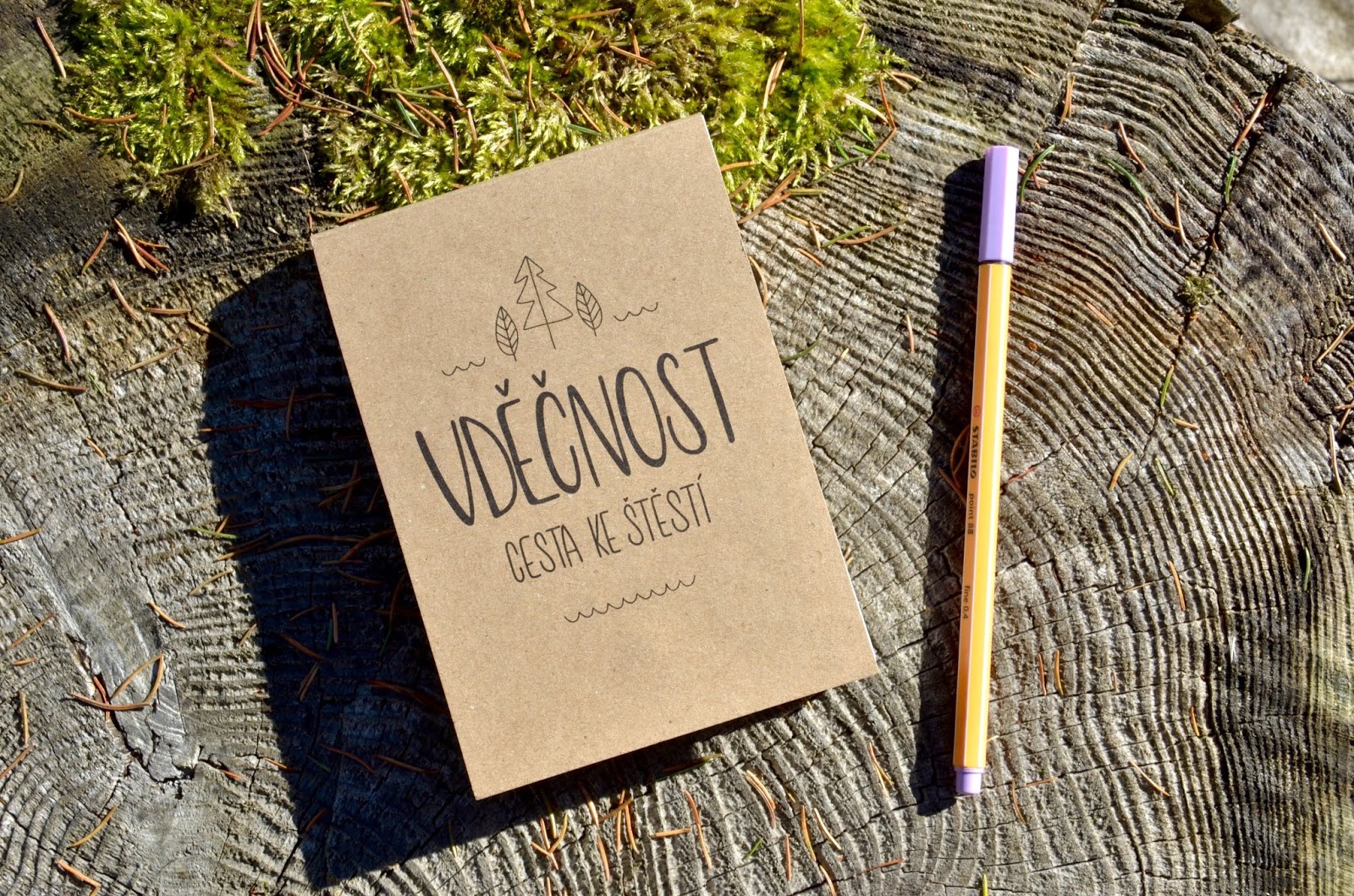vdecnost