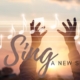 sinNewSong