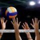 voley